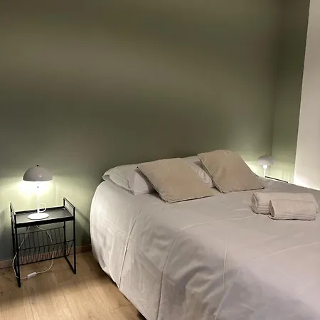 Maison Cosy Avec Jardin Prive Hypercentre A Deux Pas De La Place Ducale Lejlighed